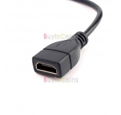 19 Pin HDMI (Type A) Female to Mini HDMI (Type C) Male Cable Adapter